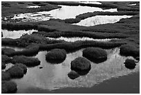 Tarns and reflection of mountain, late afternoon. Yosemite National Park ( black and white)