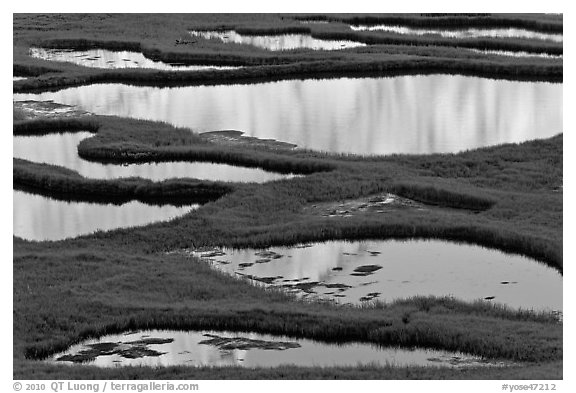Ponds and reflections, late afternoon. Yosemite National Park (black and white)
