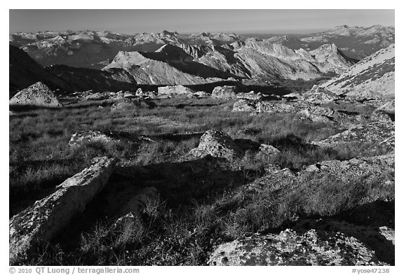 Alpine environment with distant mountains, Mount Conness. Yosemite National Park, California, USA.