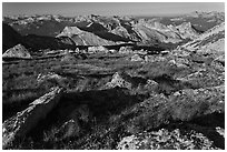 Alpine environment with distant mountains, Mount Conness. Yosemite National Park, California, USA. (black and white)