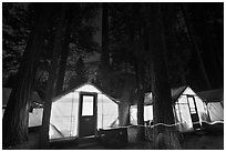 Curry Village tents by night. Yosemite National Park, California, USA. (black and white)
