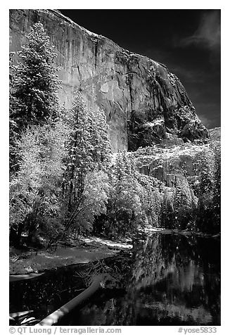 East Face of El Capitan and Merced River in winter. Yosemite National Park (black and white)