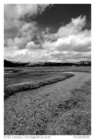 Stream in Tuolumne Meadows. Yosemite National Park (black and white)