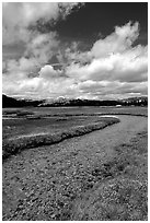 Stream in Tuolumne Meadows. Yosemite National Park, California, USA. (black and white)