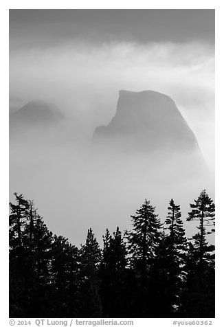 Half-Dome and Clouds Rest in fog above tree line. Yosemite National Park (black and white)