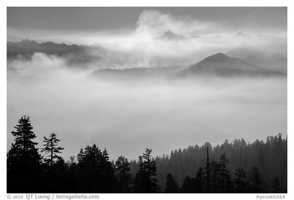 Valley below Clark Range filled with smoke. Yosemite National Park (black and white)