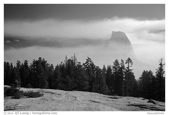Half-Dome with fog clearing from Sentinel Dome. Yosemite National Park (black and white)