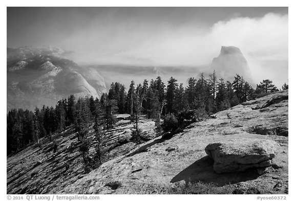 Foggy valley and Half-Dome from Sentinel Dome. Yosemite National Park (black and white)