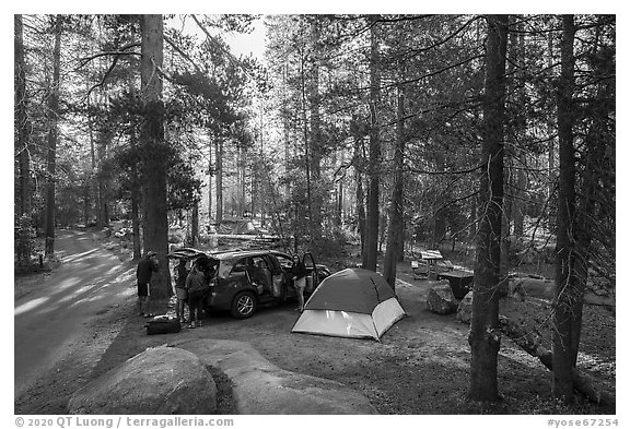 Camping in Bridalveil Creek Campground. Yosemite National Park (black and white)