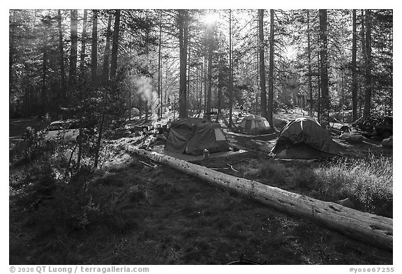 Bridalveil Creek Campground. Yosemite National Park (black and white)