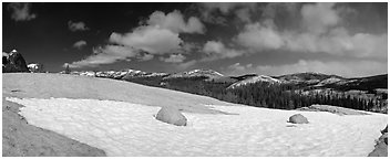 Tuolumne Meadows, neve and domes. Yosemite National Park (Panoramic black and white)