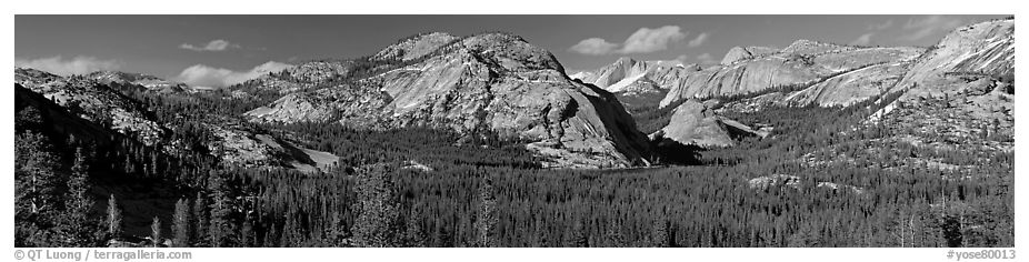 Granite domes and Tioga Lake. Yosemite National Park (black and white)