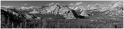 Granite domes and Tioga Lake. Yosemite National Park (Panoramic black and white)