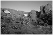 Wildflowers, South window and North window, sunrise. Arches National Park, Utah, USA. (black and white)