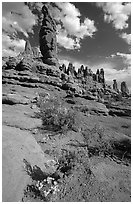 Wildflowers, sandstone pillars, Klondike Bluffs. Arches National Park, Utah, USA. (black and white)