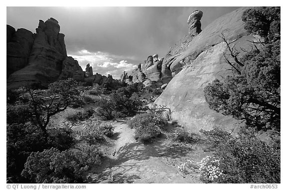 Sandy wash and rocks, Klondike Bluffs. Arches National Park (black and white)