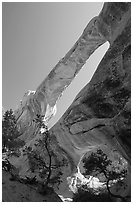 Double O Arch, afternoon. Arches National Park ( black and white)