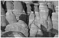 Sandstone fins at Fiery Furnace, sunset. Arches National Park, Utah, USA. (black and white)