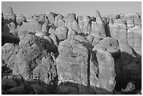 Sandstone fins at Fiery Furnace, sunset. Arches National Park, Utah, USA. (black and white)