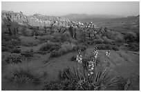 Fiery Furnace, and La Sal Mountains, dusk. Arches National Park ( black and white)