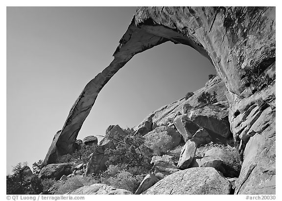 Landscape Arch, morning. Arches National Park (black and white)