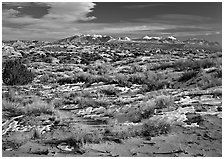 Petrified dunes, ancient dunes turned to slickrock, and La Sal mountains, winter afternoon. Arches National Park, Utah, USA. (black and white)