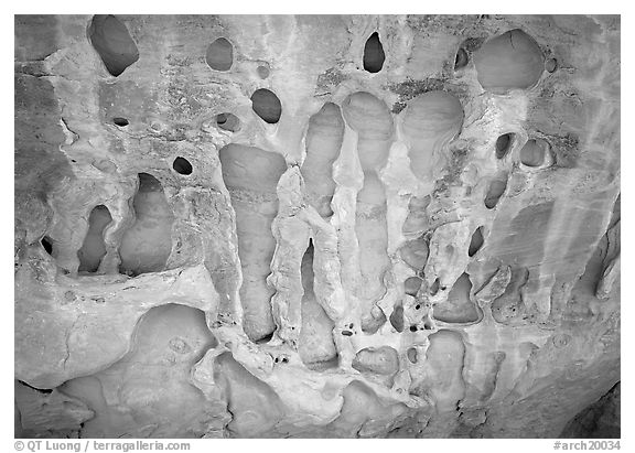 Holes in sandstone wall near Navajo Arch. Arches National Park, Utah, USA.