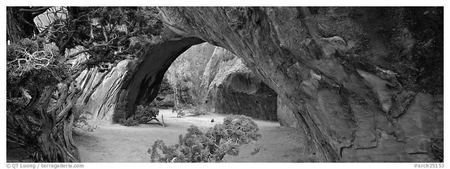 Navajo Arch. Arches National Park (black and white)