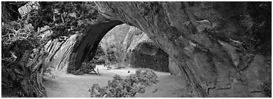 Navajo Arch. Arches National Park (Panoramic black and white)