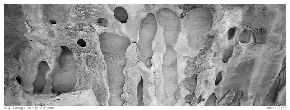 Hollow patterns in sandstone. Arches National Park (black and white)