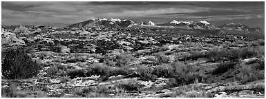 Petrified dunes and mountains in winter. Arches National Park (Panoramic black and white)