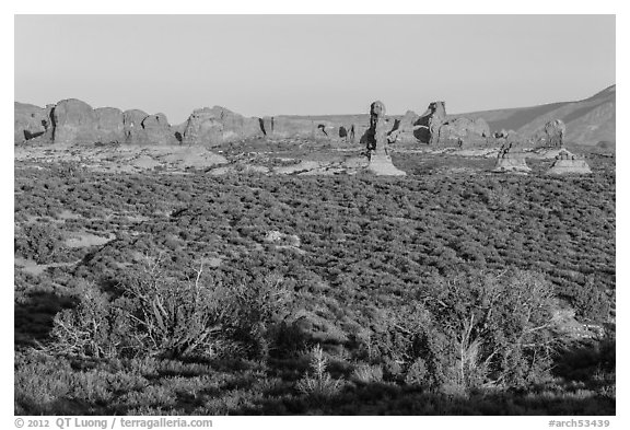 Desert shrub, flatlands, and Windows group in distance. Arches National Park (black and white)