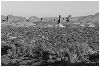 Desert shrub, flatlands, and Windows group in distance. Arches National Park, Utah, USA. (black and white)