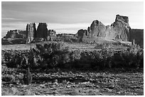 Cottonwoods of Courthouse Wash and Courthouse Towers. Arches National Park, Utah, USA. (black and white)