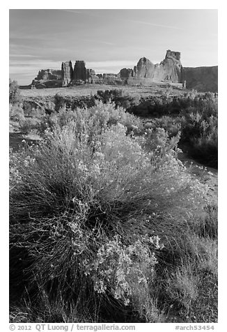 Shrub, cottonwoods and sandstone towers. Arches National Park, Utah, USA.