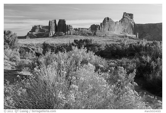 Shrub, cottonwoods and sandstone fins. Arches National Park, Utah, USA.