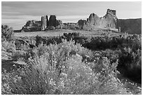 Shrub, cottonwoods and sandstone fins. Arches National Park ( black and white)