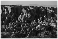 Fiery Furnace fins on hillside. Arches National Park, Utah, USA. (black and white)