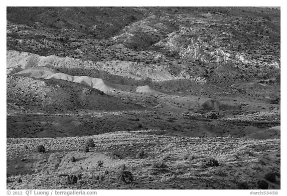 Last light on shrubs and rocks. Arches National Park (black and white)