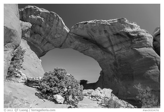 Juniper and Broken Arch. Arches National Park, Utah, USA.