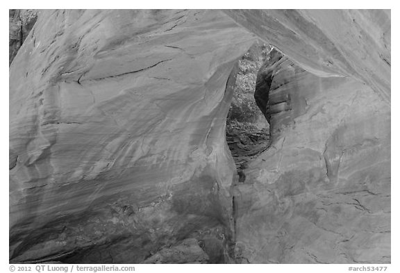 Sand Dune Arch detail. Arches National Park (black and white)