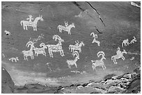 Rock with pannel of Ute Petroglyphs. Arches National Park, Utah, USA. (black and white)