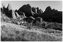 Fins in Devils Garden. Arches National Park, Utah, USA. (black and white)