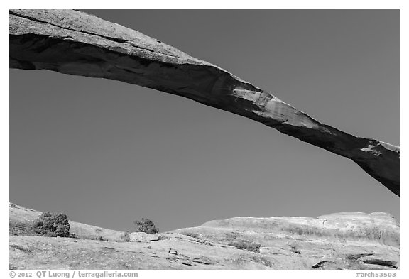 Span of Landscape Arch, longuest natural arch. Arches National Park, Utah, USA.