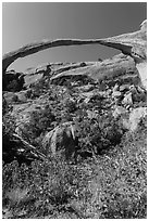 Landscape Arch with fallen boulders. Arches National Park ( black and white)