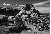 Devils Garden Campground. Arches National Park, Utah, USA. (black and white)