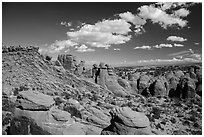 Entrada sandstone fins. Arches National Park, Utah, USA. (black and white)