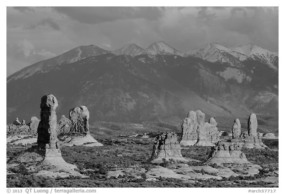 Fins and La Sal mountains. Arches National Park, Utah, USA.