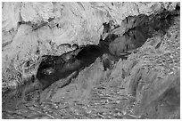 Reflections and sand in stream, Courthouse Wash. Arches National Park ( black and white)