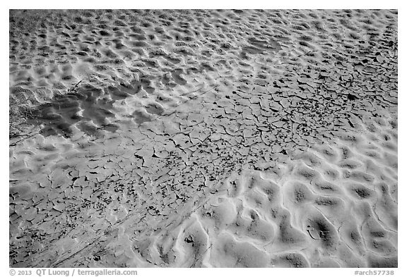 Sand and mud patterns, Courthouse Wash. Arches National Park (black and white)